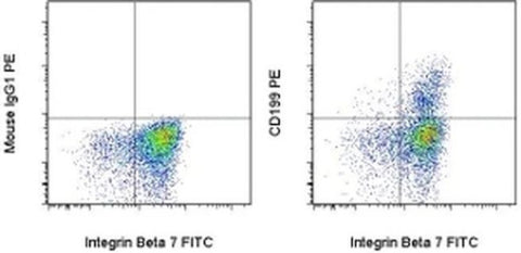 CD199 (CCR9) Monoclonal Antibody (BBC3M4), PE, eBioscience