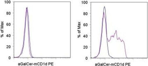 alpha GalCer:CD1d Complex Monoclonal Antibody (L363), PE, eBioscience