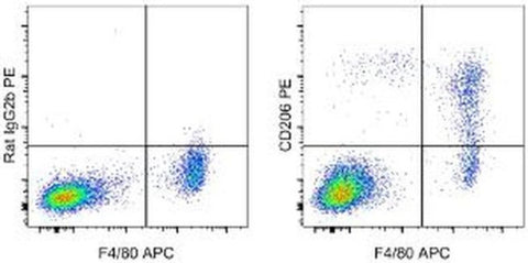 CD206 (MMR) Monoclonal Antibody (MR6F3), PE, eBioscience