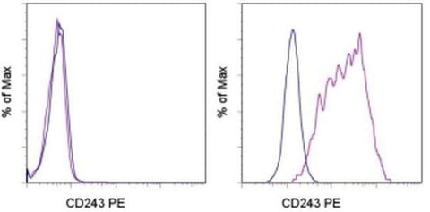 CD243 (ABCB1) Monoclonal Antibody (UIC2), PE, eBioscience