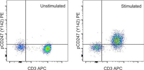 Phospho-CD247 (CD3 zeta) (Tyr142) Monoclonal Antibody (3ZBR4S), PE, eBioscience