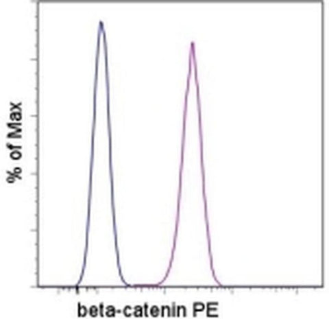 beta Catenin Monoclonal Antibody (15B8), PE, eBioscience
