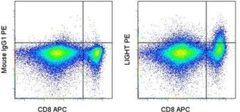 CD258 (LIGHT) Monoclonal Antibody (7-3 (7)), PE, eBioscience
