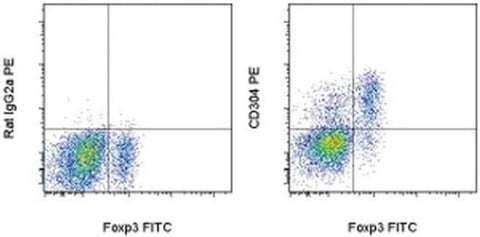 CD304 (Neuropilin-1) Monoclonal Antibody (3DS304M), PE, eBioscience