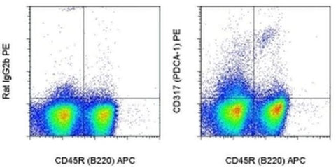 CD317 (BST2, PDCA-1) Monoclonal Antibody (eBio927), PE, eBioscience