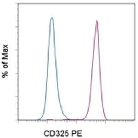 CD325 (N-Cadherin) Monoclonal Antibody (8C11), PE, eBioscience