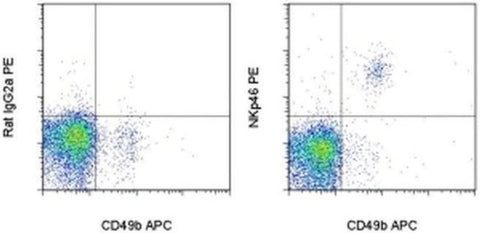 CD335 (NKp46) Monoclonal Antibody (29A1.4), PE, eBioscience