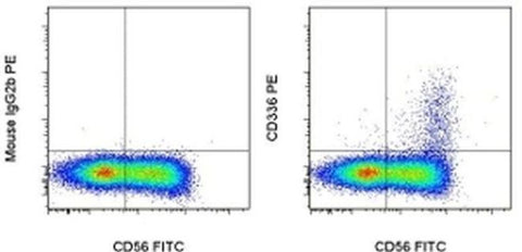 CD336 (NKp44) Monoclonal Antibody (44.189), PE, eBioscience