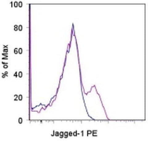 CD339 (Jagged 1) Monoclonal Antibody (HMJ1-29), PE, eBioscience