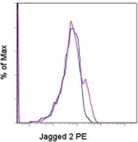 Jagged 2 Monoclonal Antibody (HMJ2-1), PE, eBioscience