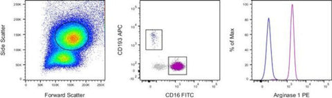 Arginase 1 Monoclonal Antibody (A1exF5), PE, eBioscience