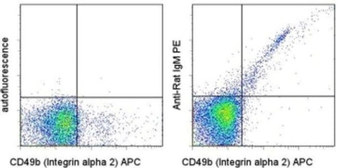 IgM Monoclonal Antibody (RM-7B4), PE, eBioscience