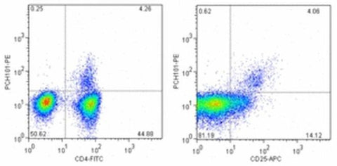 FOXP3 Monoclonal Antibody (PCH101), PE, eBioscience
