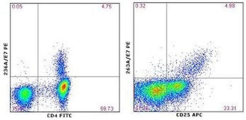 FOXP3 Monoclonal Antibody (236A/E7), PE, eBioscience