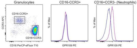 GPR109 Monoclonal Antibody (4NZBRGO), PE, eBioscience