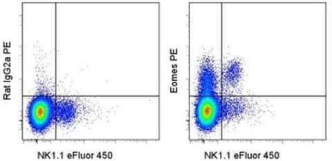 EOMES Monoclonal Antibody (Dan11mag), PE, eBioscience