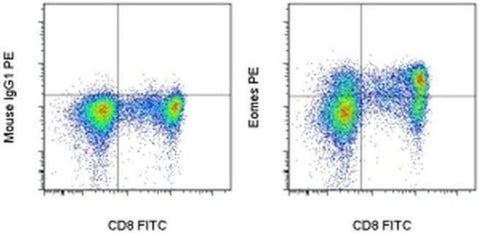 EOMES Monoclonal Antibody (WD1928), PE, eBioscience
