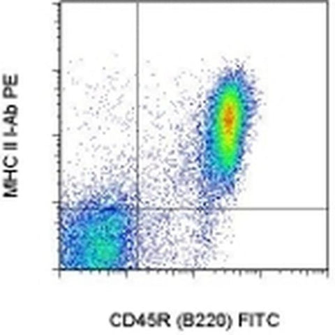 MHC Class II I-Ab Monoclonal Antibody (AF6-120.1), PE, eBioscience