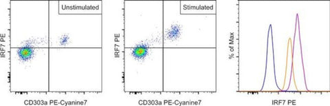 IRF7 Monoclonal Antibody (RDP4ND4), PE, eBioscience