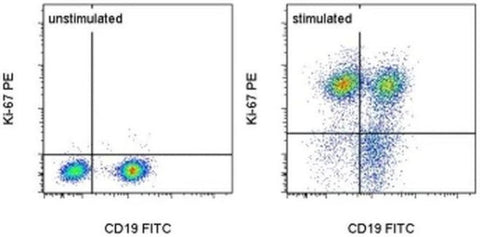 Ki-67 Monoclonal Antibody (SolA15), PE, eBioscience