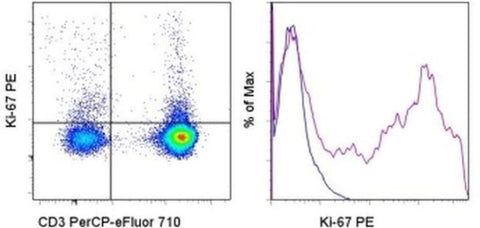 Ki-67 Monoclonal Antibody (20Raj1), PE, eBioscience