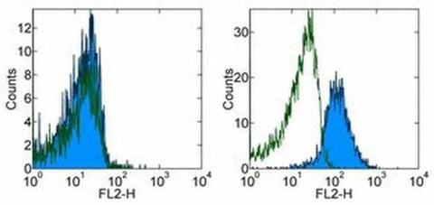 OVA257-264 (SIINFEKL) peptide bound to H-2Kb Monoclonal Antibody (eBio25-D1.16 (25-D1.16)), PE, eBioscience