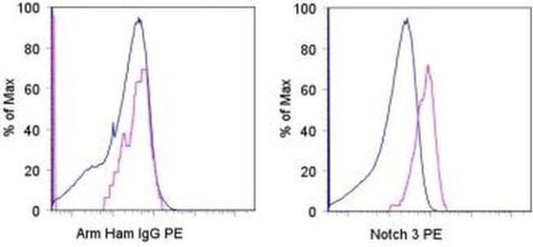 NOTCH3 Monoclonal Antibody (HMN3-133), PE, eBioscience