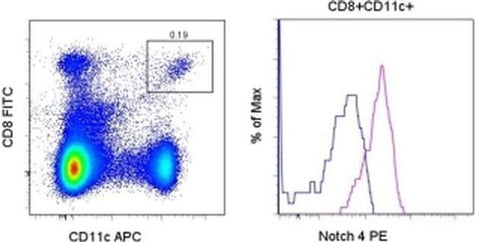 NOTCH4 Monoclonal Antibody (HMN4-14), PE, eBioscience
