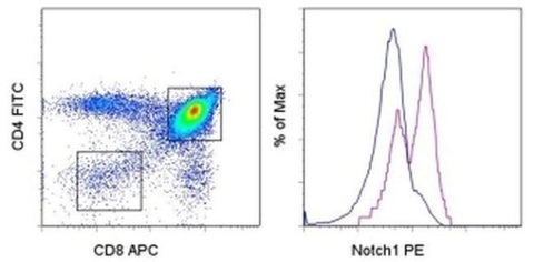 NOTCH1 Monoclonal Antibody (22E5), PE, eBioscience