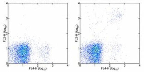 Ly-49A/D Monoclonal Antibody (eBio12A8 (12A8)), PE, eBioscience