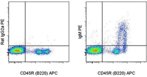 IgM Monoclonal Antibody (II/41), PE, eBioscience