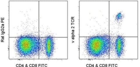 TCR V alpha 2 Monoclonal Antibody (B20.1), PE, eBioscience