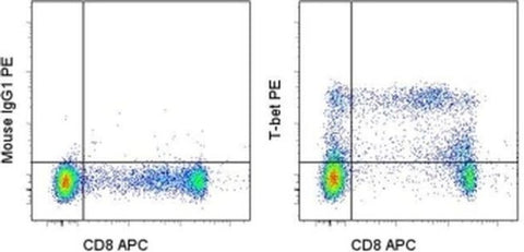 T-bet Monoclonal Antibody (eBio4B10 (4B10)), PE, eBioscience
