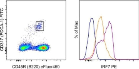 IRF7 Monoclonal Antibody (MNGPKL), PE, eBioscience