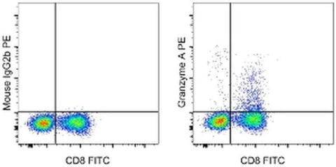 Granzyme A Monoclonal Antibody (GzA-3G8.5), PE, eBioscience