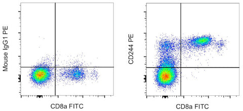 CD244 Monoclonal Antibody (eBioC1.7 (C1.7)), PE, eBioscience