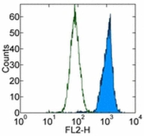 OCT3/4 Monoclonal Antibody (EM92), PE, eBioscience