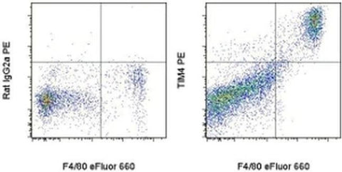 TIM-4 Monoclonal Antibody (54 (RMT4-54)), PE, eBioscience