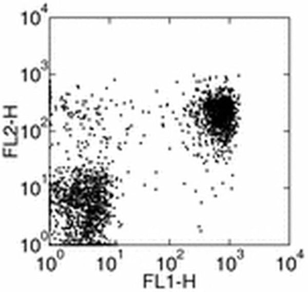 CD314 (NKG2D) Monoclonal Antibody (5C6), PE, eBioscience | Cytek ...