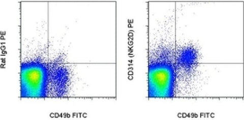 CD314 (NKG2D) Monoclonal Antibody (CX5), PE, eBioscience
