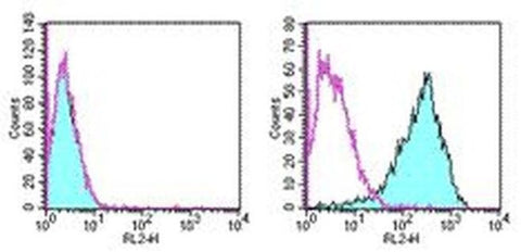 CD262 (DR5) Monoclonal Antibody (MD5-1), PE, eBioscience