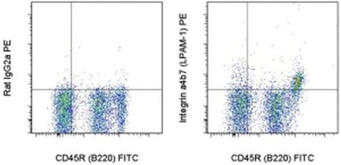 Integrin alpha 4 beta 7 (LPAM-1) Monoclonal Antibody (DATK32 (DATK-32)), PE, eBioscience