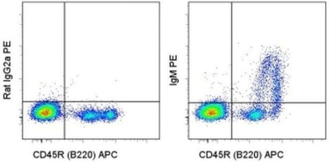 IgM Monoclonal Antibody (eB121-15F9), PE, eBioscience