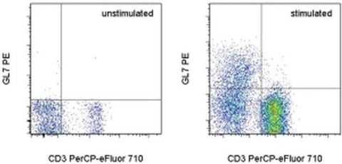 GL7 Monoclonal Antibody (GL-7 (GL7)), PE, eBioscience