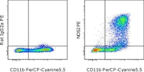 iNOS Monoclonal Antibody (CXNFT), PE, eBioscience