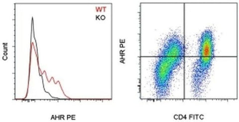 AHR Monoclonal Antibody (4MEJJ), PE, eBioscience
