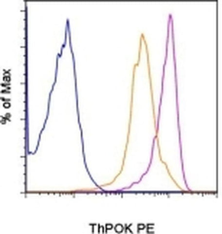 ThPOK Monoclonal Antibody (2POK), PE, eBioscience