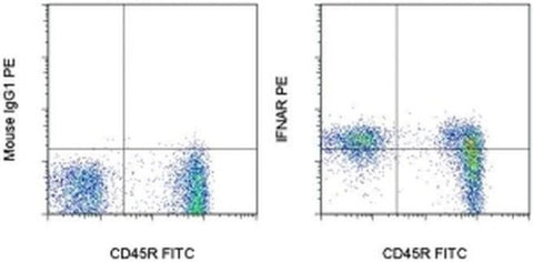IFNAR1 Monoclonal Antibody (MAR1-5A3), PE, eBioscience