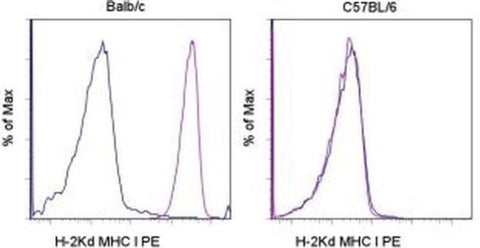 MHC Class I (H-2Kd) Monoclonal Antibody (SF1-1.1.1), PE, eBioscience