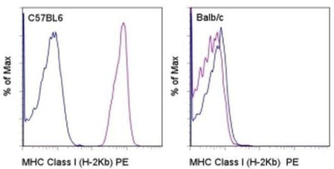 MHC Class I (H-2Kb) Monoclonal Antibody (AF6-88.5.5.3), PE, eBioscience